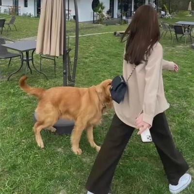 慈善舞会
