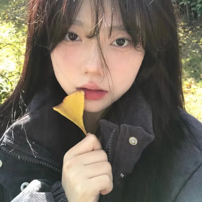 镜狮子
